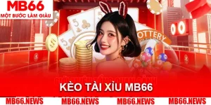 Kèo Tài Xỉu MB66 - Cách Đọc Và Các Hình Thức Cược Phổ Biến